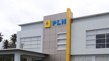 PLN NP سولاب نفايات المصنع تصبح كاسر أمواج شاطئ بلينتونغ