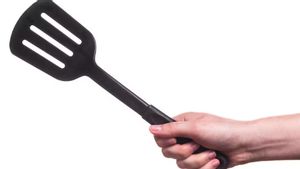 Ahli IPB: Penggunaan Spatula Plastik Bisa Pengaruhi Kesuburan dan Tingkatkan Risiko Kanker