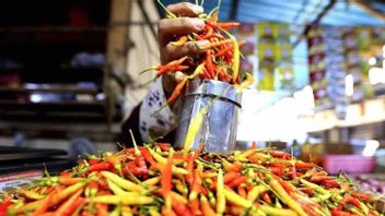Harga Pangan Hari Ini Wilayah Jakarta: Beras Medium hingga Cabai Rawit Turun, Ikan Kembung Naik