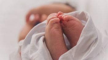 Jarang Terjadi, Wanita Ini Lahirkan Bayi Kembar Lima Secara Normal di Usia Kandungan Tujuh Bulan