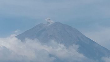 Gunung Semeru 7 Kali Erupsi pada Sabtu Pagi