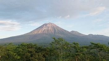 Mount Semeru Experienced Several Eruptions And Falls