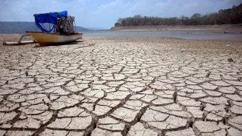 L'aimable sécheresse à Jateng mai 2024, BMKG devrait être vu jusqu'à 7 mois au maximum