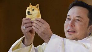 Elon Musk Sebut D.O.G.E di X, Harga Dogecoin Tak Bereaksi