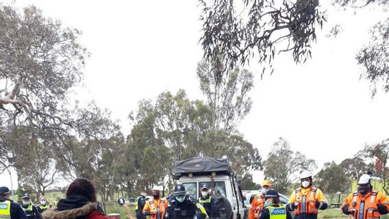 Pohon Keramat Orang Aborigin di Australia Digusur Untuk Jalan Raya, Warga Protes