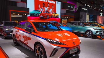 MGライ500年を通してIIMS2025を通して充電ステーション以上、MG4 EVとZS EVが主なスターになります