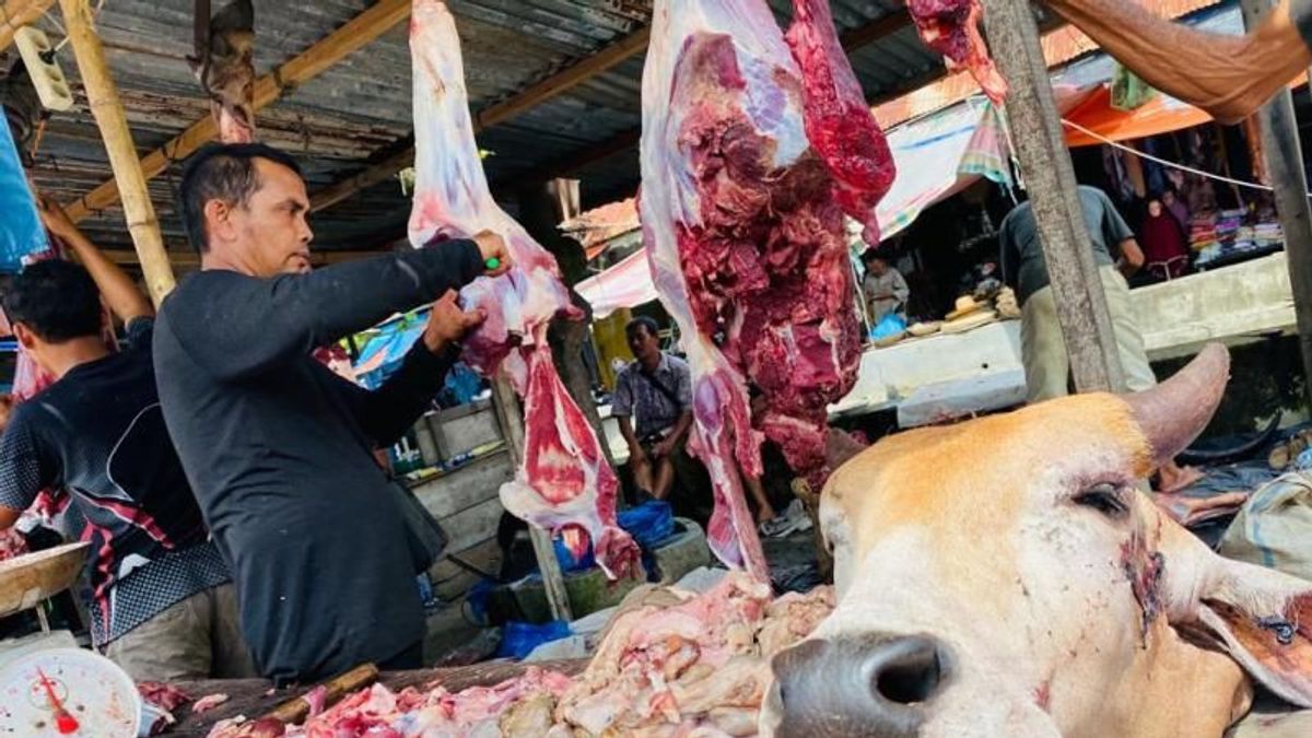 Harga Daging Sapi Jelang 'Meugang' di Meulaboh Aceh Barat Anjlok, Pedagang Mengaku Rugi