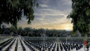 PTPN IV PalmCo Dukung Kemandirian Ekonomi Perempuan Melalui Pengolahan Limbah Sawit