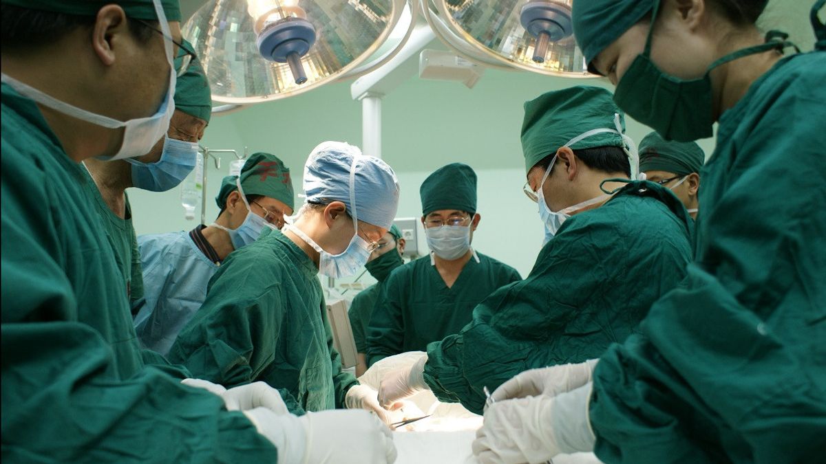 美国医生成功为心脏病患者进行猪心脏移植手术 希望缓解器官捐献