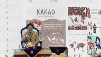 Megawati Wants The Indonesian Navy To Be Strengthened: We Are A Marine Country