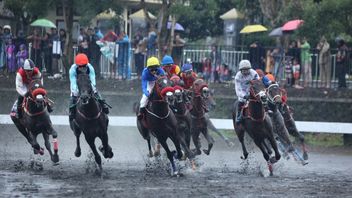 トリプルクラウンホースデート、最も希少な成果