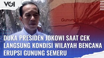 VIDEO: Duka Presiden Jokowi saat Cek Langsung Kondisi Wilayah Bencana Erupsi Gunung Semeru