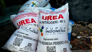 Mentan Amran Jamin Pupuk Subsidi Lancar, Produktivitas Pertanian Terjaga