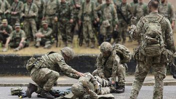 Jerman Bakal Gelar Pelatihan Dasar untuk Tentara Ukraina Tahun Depan