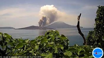 アナッククラカタウ山が噴火し、最大1.000メートルの熱い材料を噴霧