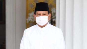 Agustus Nanti, Gerindra Sudah Punya Cawapres yang Bakal Temani Prabowo Berlaga di Pilpres