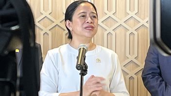 Regarding The Secretary General Of The PDIP Definitive, Puan: Later There Will Be A Surprise
