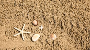 Différemment entre sédiments et sable de mer, ce qui est difficile pour les gens de voir