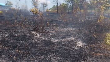 2.5ヘクタールの面積をカバーする森林火災と土地火災 東ビンタンで発生