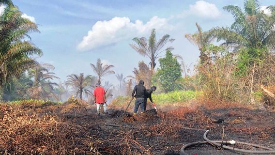 Meski Meningkat Drastis Menjadi 23 Hektare, BPBD, TNI dan Polri Berhasil Jinakkan Karhutla Lahan Gambut di Nagan Raya