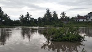 Sungai Meluap, Ratusan Rumah Warga di Lombok Tengah Kebanjiran