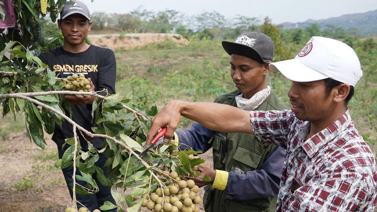 GIS Improves Farmer Welfare In Rembang Through The Semen Gresik Farmer Friends Program