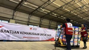 Palang Merah Indonesia Kirim Peralatan Medis dan Buka Rekening Donasi untuk Bantu Warga Gaza