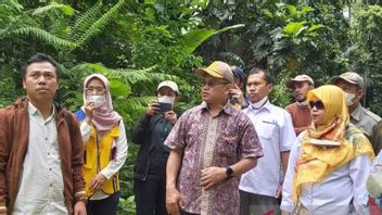 Clearing Thousands Of Hectares For IKN Food Support, WALHI Reminds Central Sulawesi Provincial Government Not To Destroy Forests