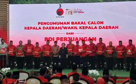 Megawati Berikan Rekomendasi Pengusungan 13 Cagub-Cawagub, Edy Rahmayadi Hingga Danny Pomanto-Azhar 