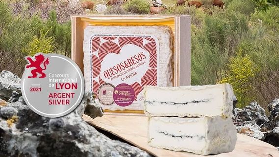 Le Meilleur Fromage Du Monde De 2021 Tombe Sur Le Fromage De Chèvre Espagnol