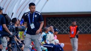 Komentari Gol Persija yang Tak Dianggap Wasit, Manajer RANS Hamka Hamzah: Indonesia Darurat VAR