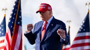 Peluang Renegosiasi Dagang RI-AS Terbuka Usai Tarif Trump Dibatalkan Pengadilan