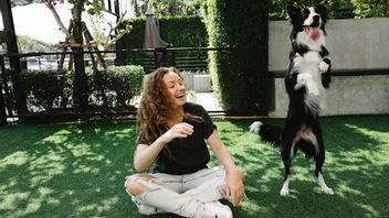 宠物狗教会的8个有趣而简单的技巧,让它们更智能