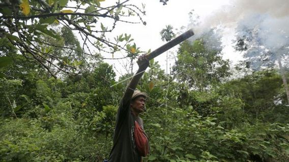 BKSDA Installe 59 000 Mètres De Fil De Choc à Aceh Pour Prévenir Les Conflits Avec Les Humains