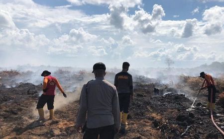 Tahun 2022 Sebanyak 268 Titik, BPBD Petakan Lagi Daerah Rawan Karhutla di Babel Imbas El Nino