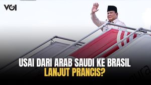 Presiden Prabowo Akan Bahas Kampung Haji di Arab Saudi