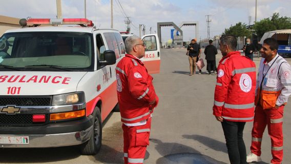  28 Bayi Prematur yang Dievakuasi dari Gaza Berhasil Tiba di Mesir