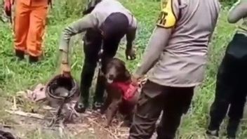 Homme Disparu Dans Le Rocher De Prince Retrouvé à Cirebon, Les Policiers Interrompent Les Recherches