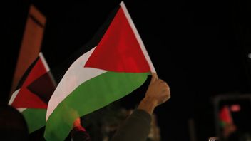 Mahasiswa Columbia Dibebaskan Hakim AS Usai Protes Anti Israel