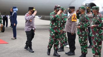 TNI指挥官和契约警察总长塞曼加蒂特遣部队内曼加维