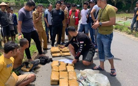 BNN Ungkap Kasus 105 Kg Ganja di Sumbar, 7 Orang Ditangkap