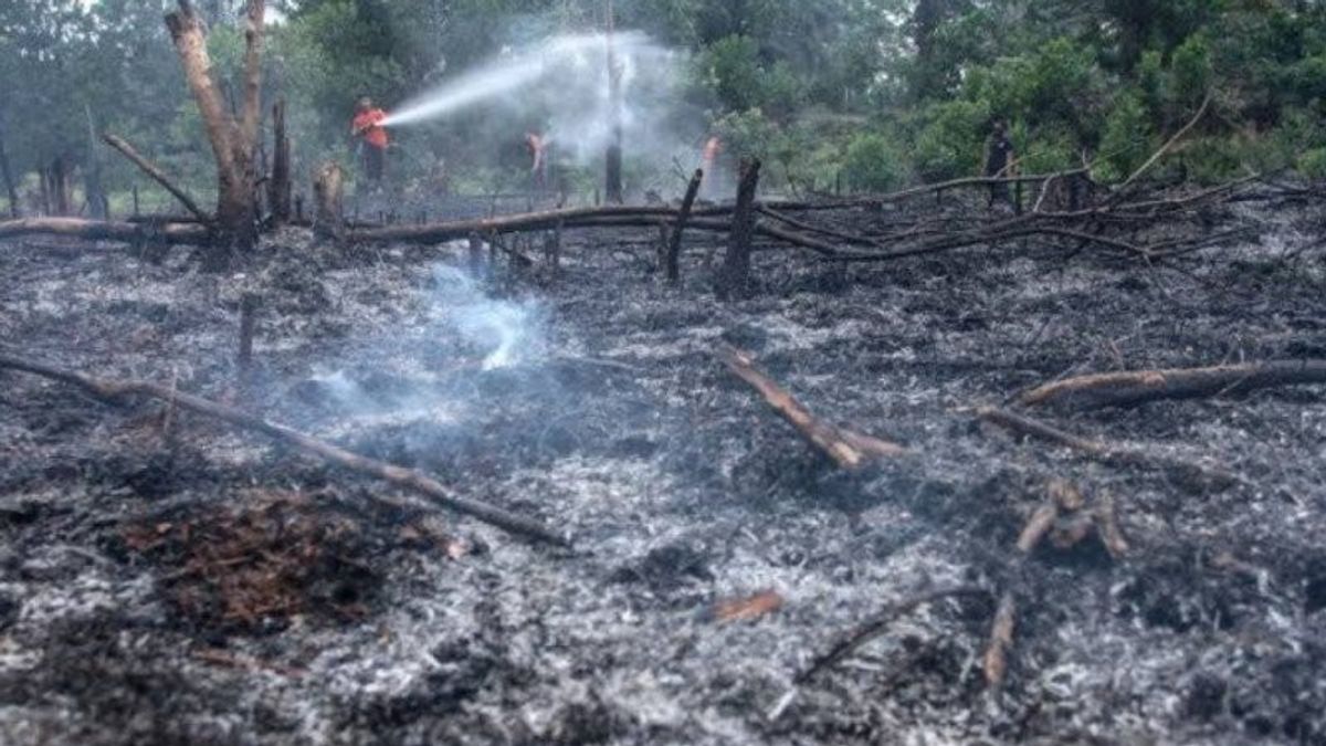 322 Fire Points Of Forest And Land Fire Detected On The Island Of Sumatra, South Sumatra Most
