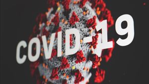 Bali Catatkan Rekor Penambahan Kasus Harian COVID-19 Tertinggi Sejak Pandemi Maret 2020