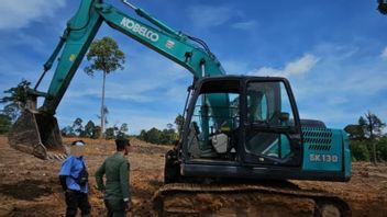 Hutan Lindung Sungai Wain Balikpapan Dibuka untuk Sawit, Kemenhut Tetapkan 2 Tersangka
