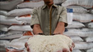 RI Kirim Bantuan 10.000 Ton Beras ke Palestina