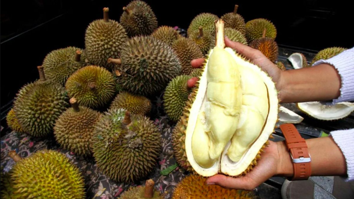 グローバル市場に浸透する準備をしているローカルドリアンの繊細さ