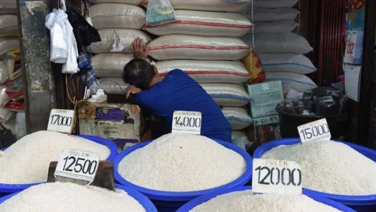 Harga Beras Tinggi Sejak 1980-an, Ini Catatan SEAMEO BIOTROP