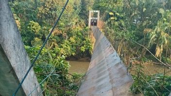 Tanjabbar Jambi的桥梁事件几乎破裂，15名过马路的学生因掉入河中而受伤