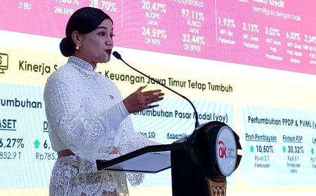 OJK Beberkan Kerugian Konsumen akibat  Scam and Fraud Capai Rp2,5 Triliun