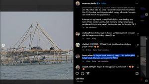 Kuasa Hukum Sebut Kondisi Laut Tangerang Sudah Ada Bambu Sebelum PIK 2, Netizen: ‘Itu Bagan untuk Mancing Tong’